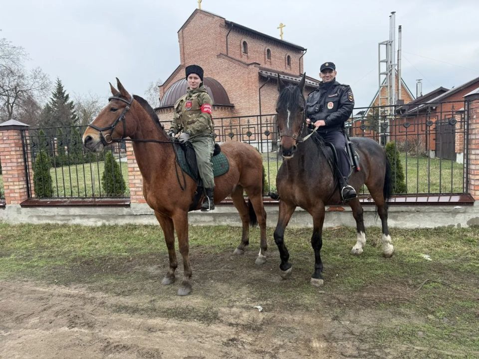 ������������ �� ����� ������: � �������� �������� ���������� ������ �������������� ������� � �������� �������