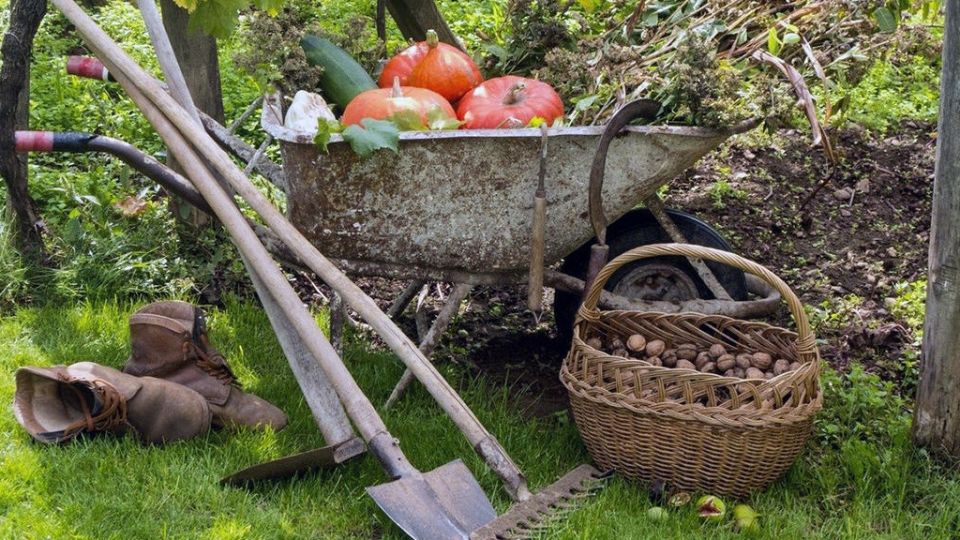 ������� �������: ��� ����������� ���� ��� � ���� � ��������� ������