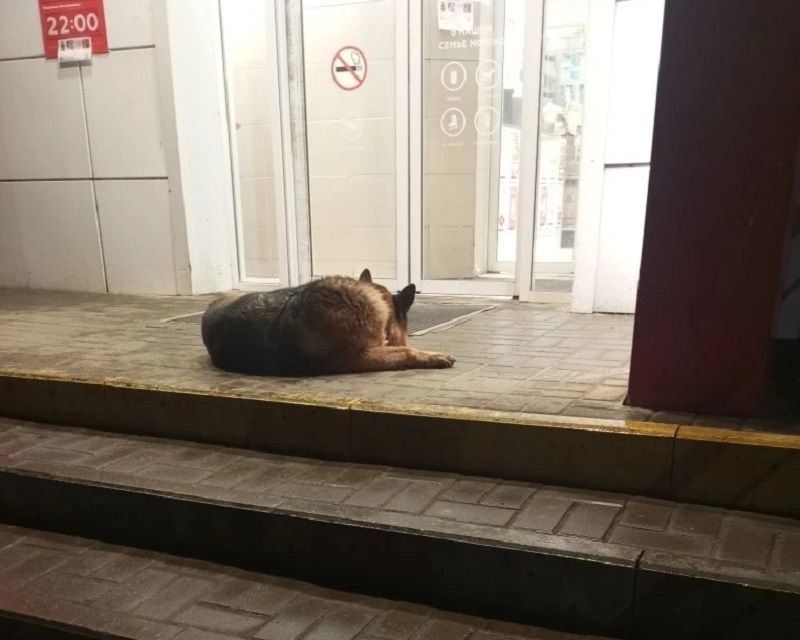 ����������� ������ ����� ����� ���, �� ��������� ��������