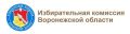 Губернатор Гусев частично обновил состав воронежского облизбиркома