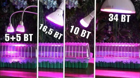 ����� ����� �������: ������� �������� �������� � �����