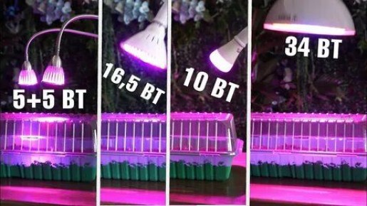 ����� ����� �������: ������� �������� �������� � �����