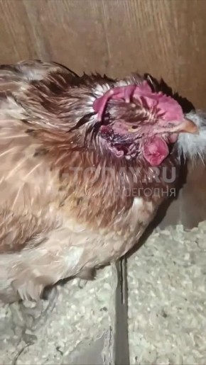 �������� ����� � ����� ������: ���� ����� �������� ����� � ���������