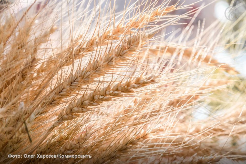 ����������� ����������: ����������� ������� �������� ��������� ��������