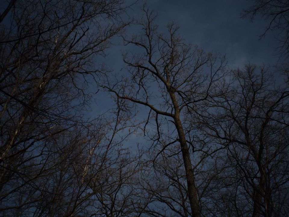 ������ 9 ������:. ����������� �������: ���� +7, � ������� +4. ����� ���������� �� +3 � ������ ����� �� ������