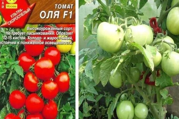 ������ ������ ����� ��� ����� ��������� ����� �������� � ���������