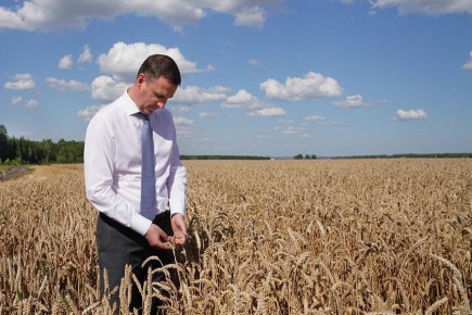 Почему россияне сталкиваются с дефицитом овощей, несмотря на обильные урожаи?