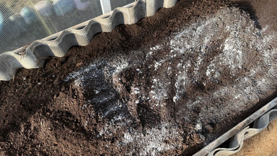 ��� ������� ������������ ������� ������� ����� � ������� ����������� � �����