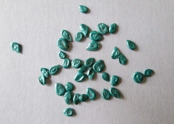 ��� ��������� ����������� ������ ������� ��� �������� �������