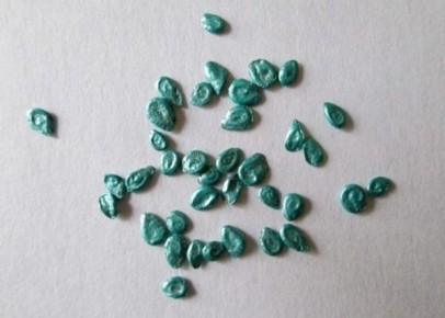 ��� ��������� ����������� ������ ������� ��� �������� �������