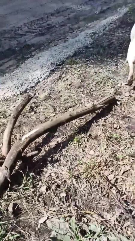 � �������� ������� ���� ������, ������� ����������� � �������