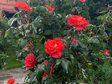 ����: ��� �������� ���������������� ������ � �����