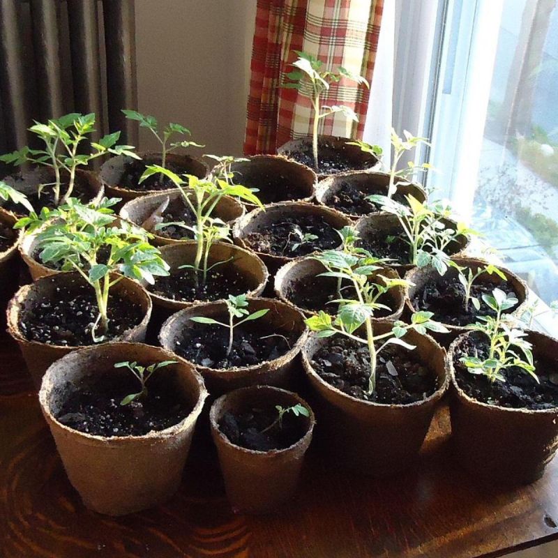 ����������� ������ ��� ��������� ��������� �����: �������� �����������!