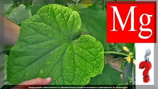 ��� �������� ���������������� ������ � ����������� �������: ������, ������� ������� ������� ������� ������