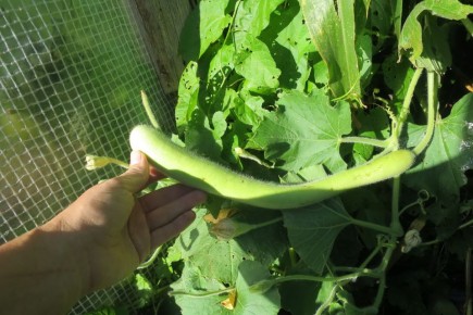 ���������: ������������ ����� ��� ���������� � ���� � �� �����