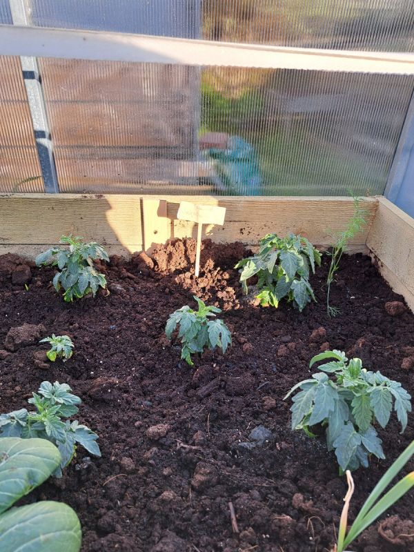 ����������� ����� ��������: ��� ������ ��������� �� �� �����