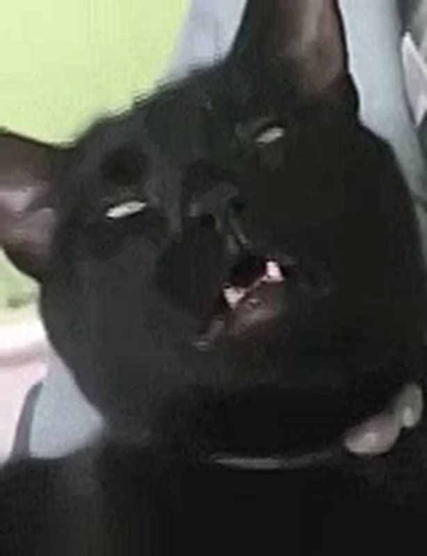 � �������� ������� ������ ����������: ������������ ������ �����, ����� � ������