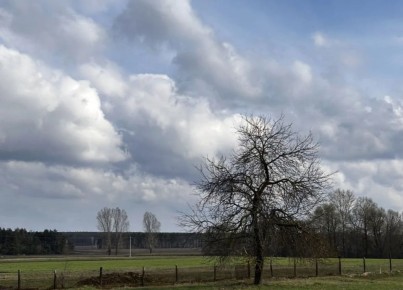 Погода 12 апреля:. Температура воздуха: днем +10, а вечером +8. Северо-восточный ветер днем подует до 3 м/с - несильно, но сырость будет ощущаться