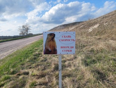 ������� �� �������� �����: ����������� �������������� ��������� ���� ������������