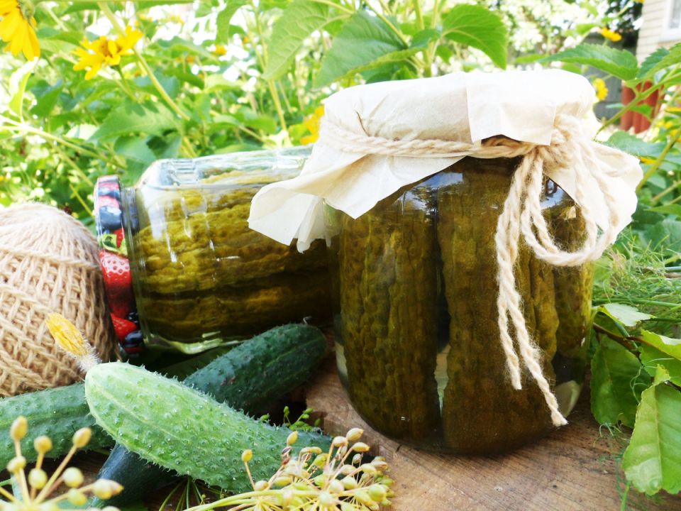 ������� � ��������� �������� � ��������: ��������� ������ ��� ������ �����