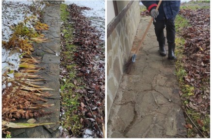 ��� ������������� � ����: ������ �� ���������� ������ ������ �����