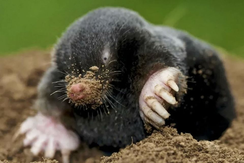 ����������� ������� ������ � �������: 7 ����������� ������� ��� ������ �������