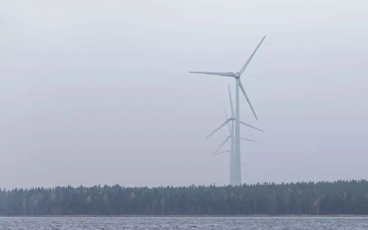 На 12 часов объявили желтый уровень погодной опасности в Воронежской области из-за сильного ветра