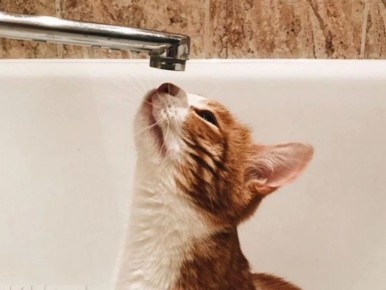 � ����� � ����������� ��������� ����� � ��������������� ������ �������� 14 ������ ����� ���������� ������ �������� ����