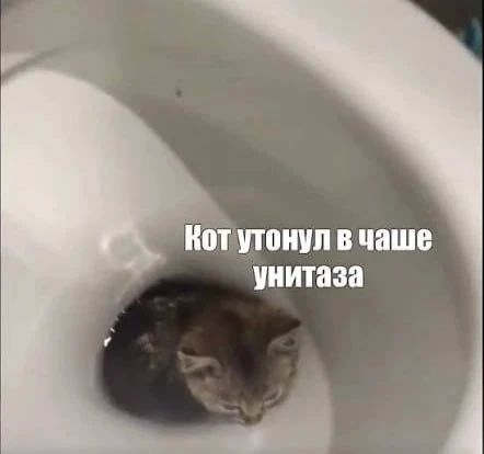 �������� ���� ������!. ���� ���� ��� �� �����, �� ���� ���� ����� ����