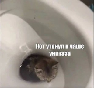 �������� ���� ������!. ���� ���� ��� �� �����, �� ���� ���� ����� ����