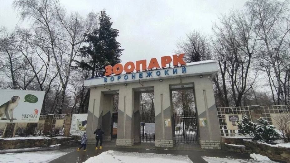 ����������� ������� 15 ������ �������� �� ������ ����� ������