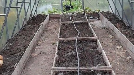 ��� ������� �������� ������� ������� ��������� � �����