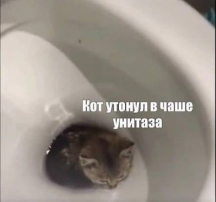 �������� ���� ������!. ���� ���� ��� �� �����, �� ���� ���� ����� ����