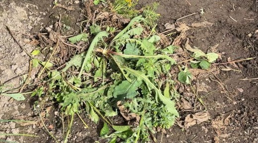 ��������: ����� ������ �� ����� � ����� � ��������� � ����������� ������� � ������ ������