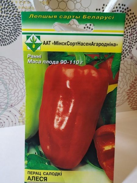 ����� �����: ������������� ���� ��� ������� ������