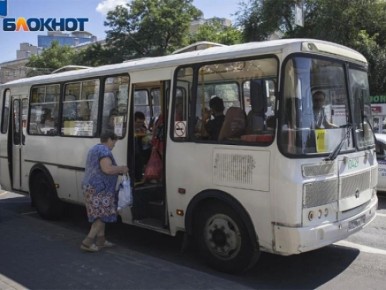 Направления садоводческих маршрутов в этом году перечислили в мэрии Воронежа