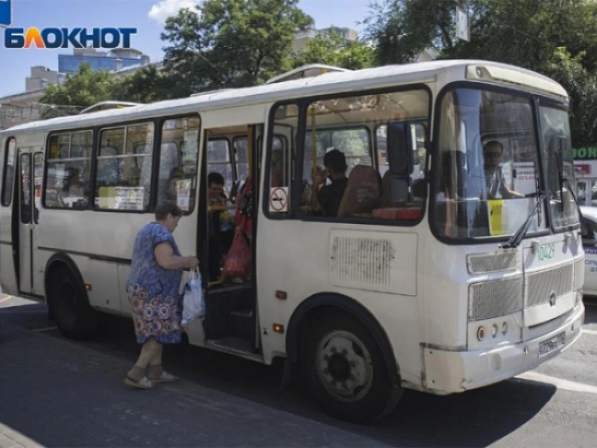Направления садоводческих маршрутов в этом году перечислили в мэрии Воронежа