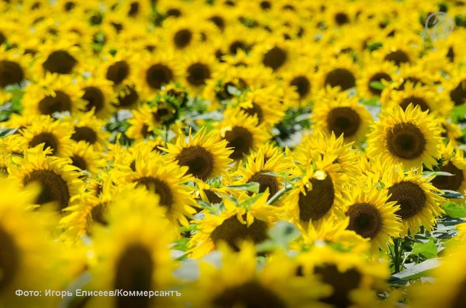 ����������� ��������� �� ������ ����������� ����� 100 ��� � �������� �������