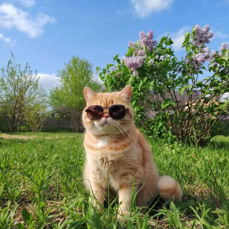 ��������� ����� ������ � ��������! �� ����� ����� ����� +20�!