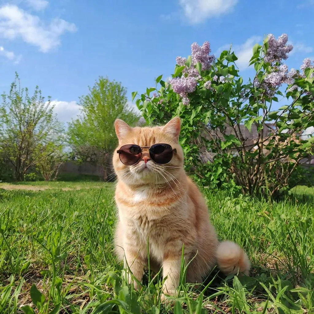 Настоящая весна придет в Воронеже! На улице скоро будет +20°!