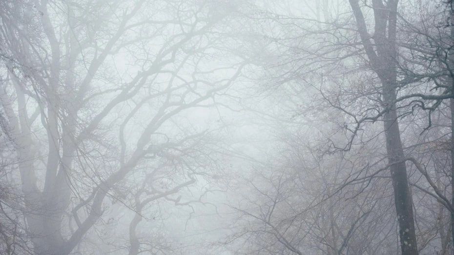 ������� �� ����������� ������� ��������� ����� 15 � 16 ������