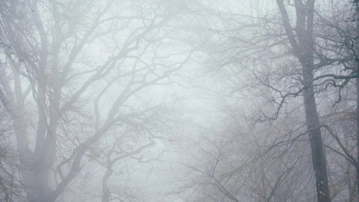 ������� �� ����������� ������� ��������� ����� 15 � 16 ������