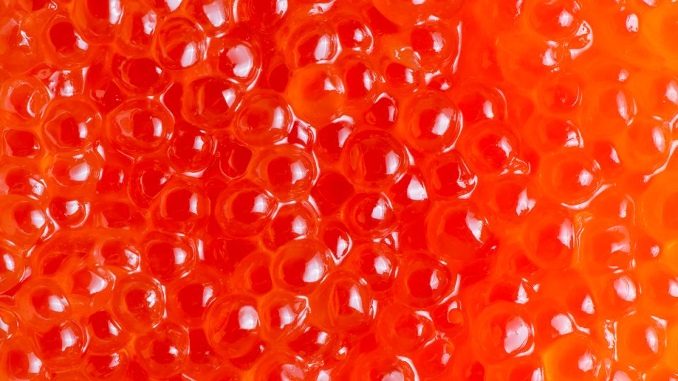 ��� ���������� ��������� ������� ����: ���� ������� ������