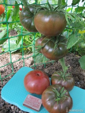 �������������� ������ ������� ������: ���� � ������� � ����� �������