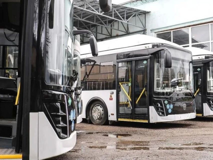 ����� ������� ���������-��������� ������ �� ����� � ��������, ��������� ������ ������