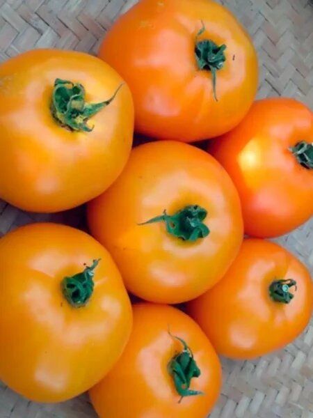 ����� ��� ������: ������� ����� � ��������� ������