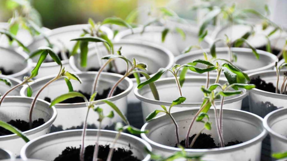 ����� �������: ��� ���������� ����� ������������ � �������� �� 8 ������