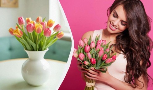 ��� �������� ����� ���������: ������� ����� ��� ������ ������