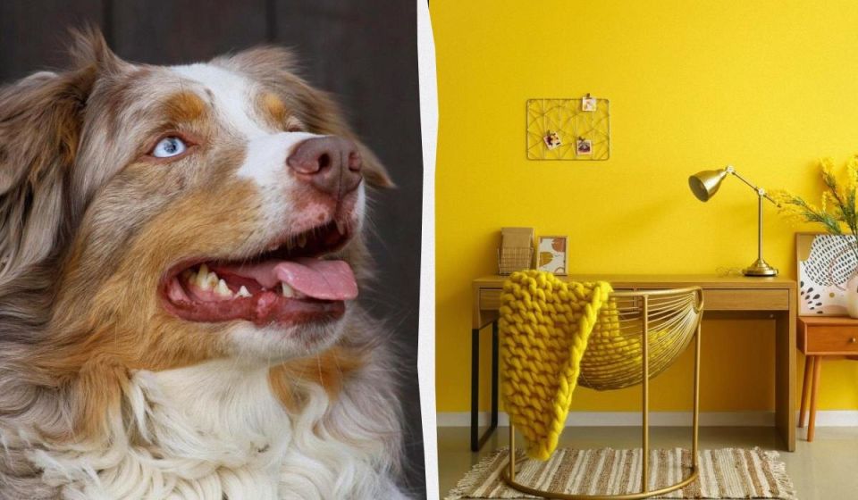 ��� ���� ���� ������ �� ��������� ����� ������: �������� ������� �������