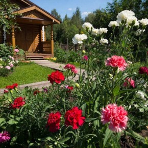 ������� �������: ��� � ������� ��� ���� ���� ������������ ������